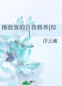 揍敌客的自我修养[综]