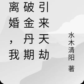 刚离婚，我突破金丹期，引来天劫