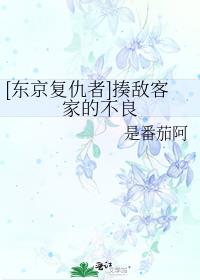 叶凡唐若雪王婿