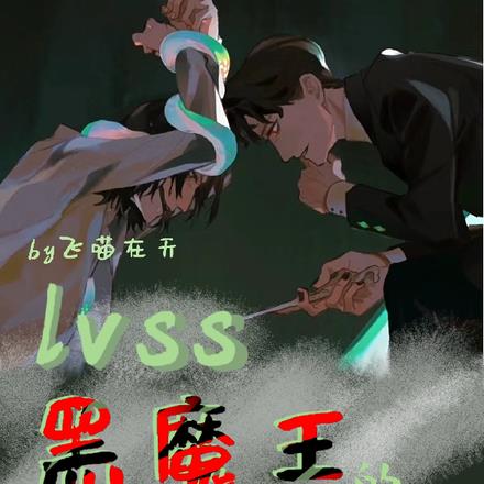 lvss：黑魔王的第八魂器