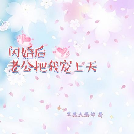 闪婚后，老公把我宠上天