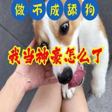 直播算命：时总，夫人催您去离婚