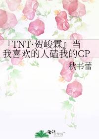 『TNT·贺峻霖』当我喜欢的人磕我的CP